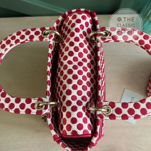 EUC  Rare Christian Dior Lady D Lite Dioramour 2020 Lady Bug Dots Satchel Bag - Picture 14 of 16